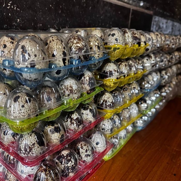 Перепела,тушки,яйцо