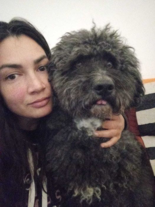 Pet Sitting Estádia Dog Hotel Barreiro— Hospedagem e Passeios