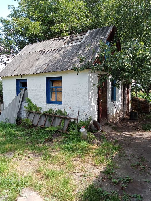 Будинок в с.Забуяння. Село, оточене лісом з чарівними краєвидами