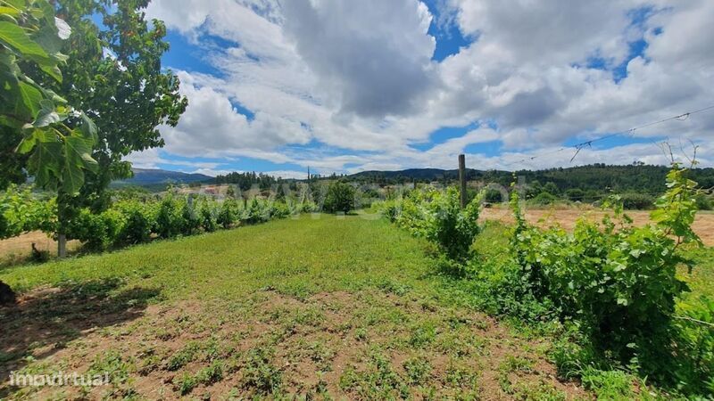 Quintinha / Fundão, Castelejo