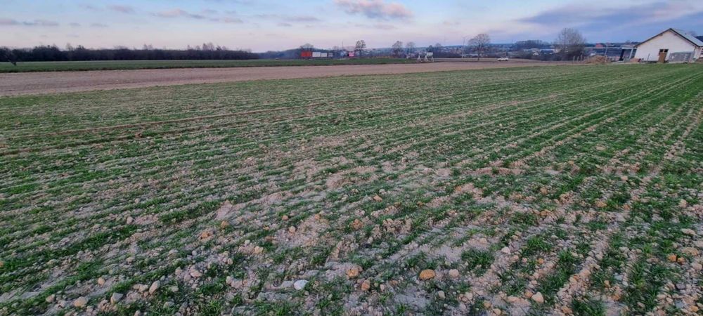 Sprzedam działki- Włoszakowice