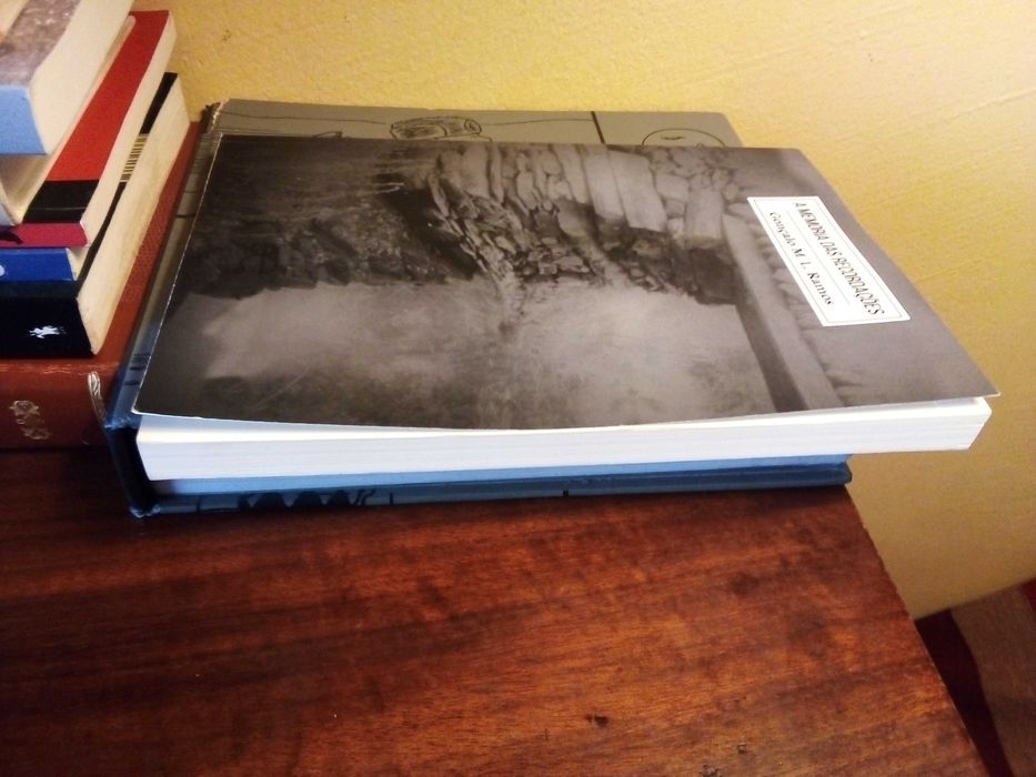 A Memória das Recordações - Gonçalo M. L. Ramos