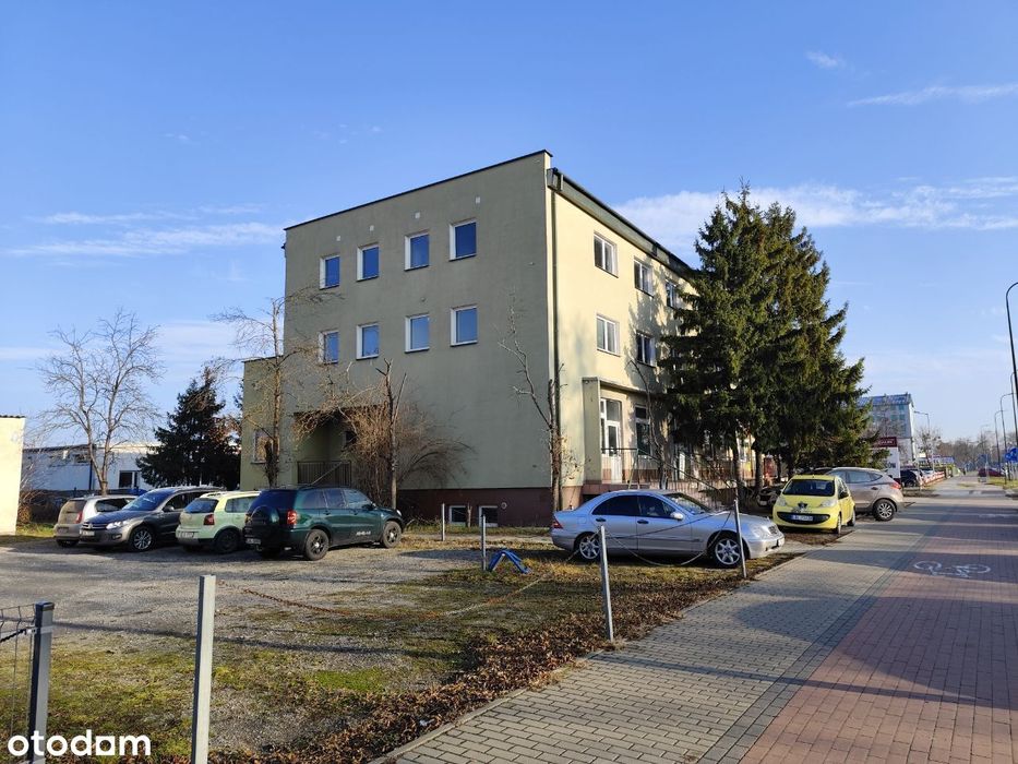 Zdjęcie 5