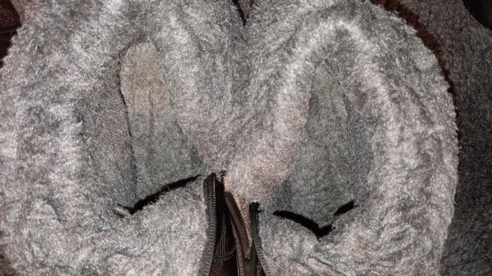 Сапожки 25 см шкіряні зимові ботфорди жін 40 розм