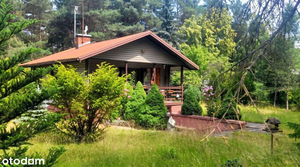 Dom 72m2 z ogrodem w lesie. Arciechów nad Bugiem.