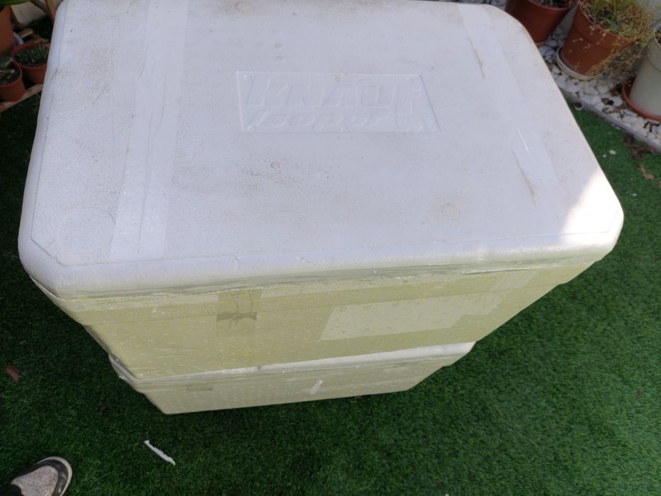 Caixa de esferovite grande com tampa