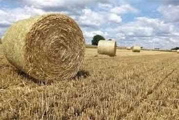 Sprzedam słomę z 2025r.