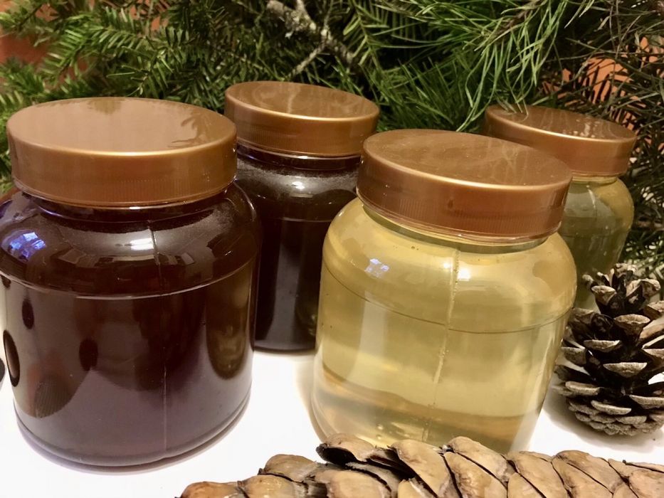 Матка "Карпатка" Карніка"