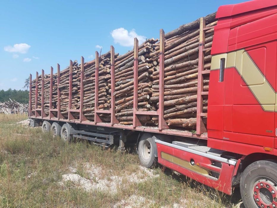 Продам дрова соснові