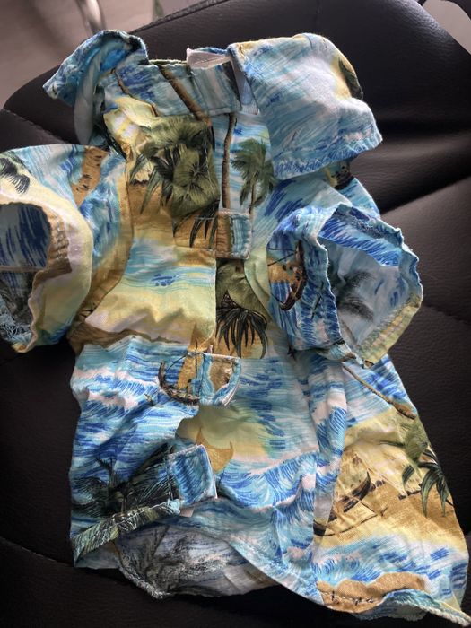 Одежда для мини йорка , маленьких собак одета 2 раза комбинезон зимний