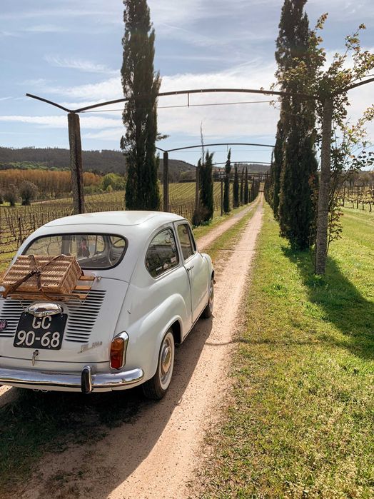 Fiat 600 D Clássico de 1972
