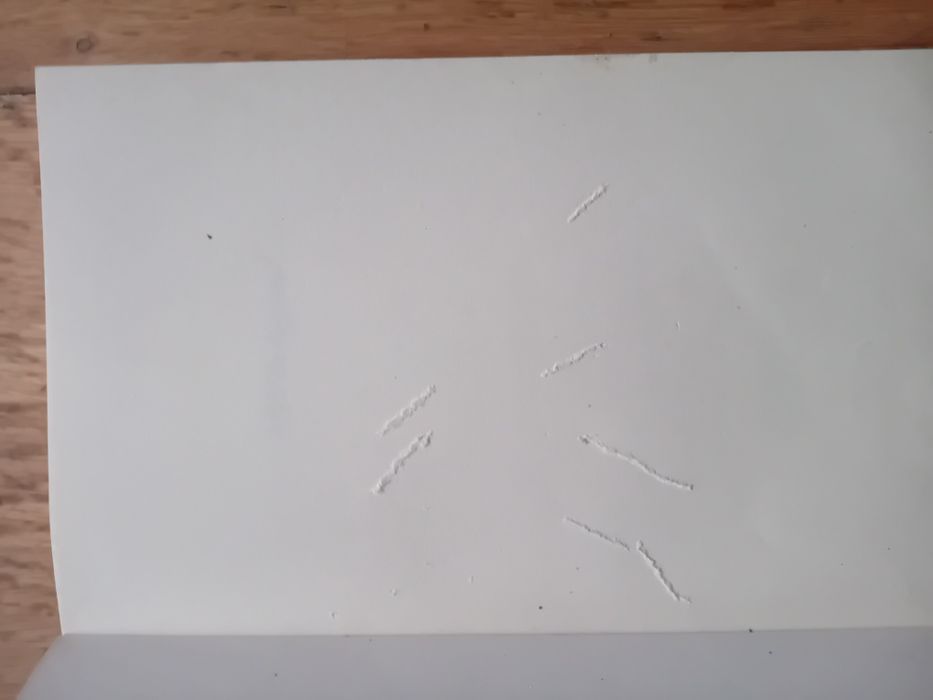 Azul de Agosto de Deborah Levy