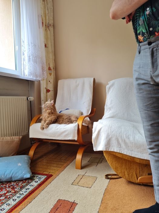 Spodnie męskie zimowe ciepłe w kratę grube czarno-białe pull&bear