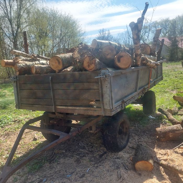 Sprzedam drzewo mieszane