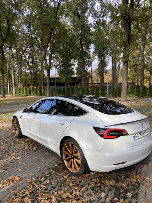 Telsa Model 3 Longe Range doual motor