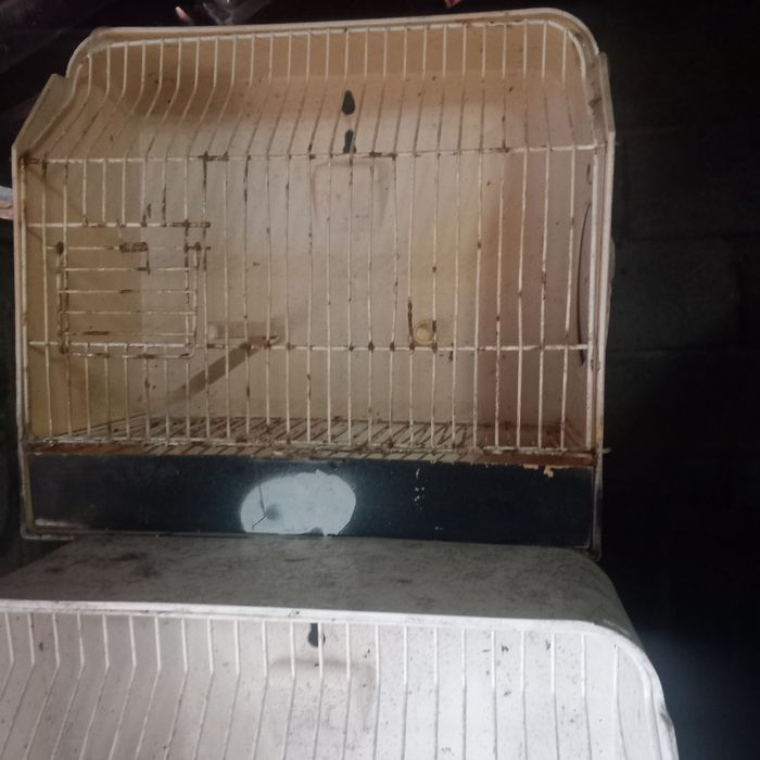 Gaiolas de exposiçãos