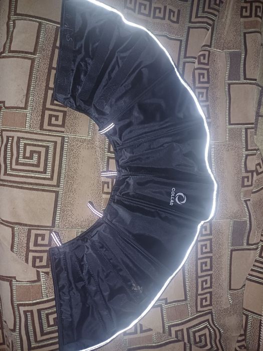 Конус для собаки