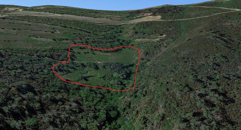 Terreno Rústico Fonte do Lobo