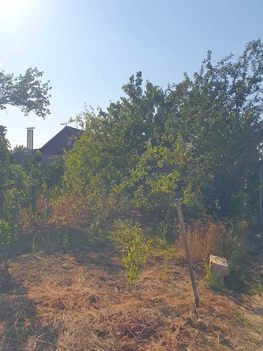 Продам будинок в смт Великодалинське