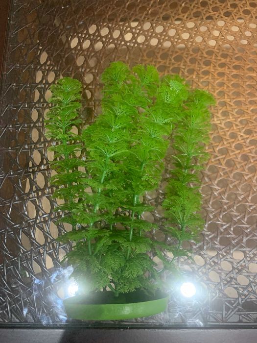 Rośliny akwariowe sztuczne