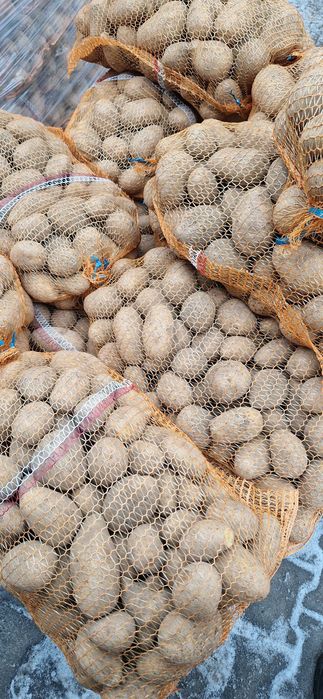 Ziemniaki jurek, gala