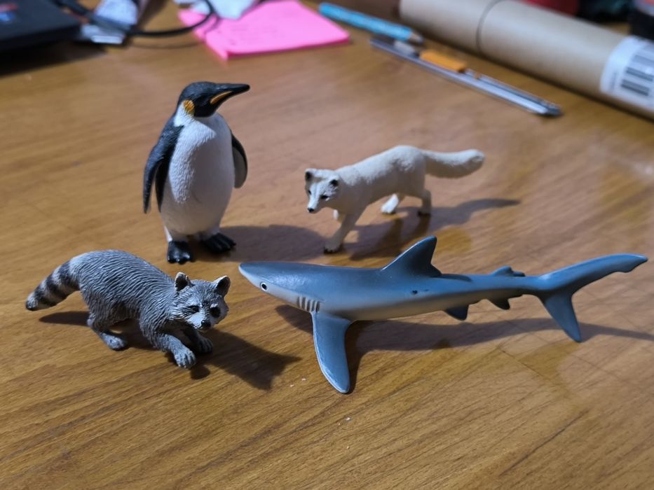 Schleish - tubarão, guaxinim, raposa e pinguim