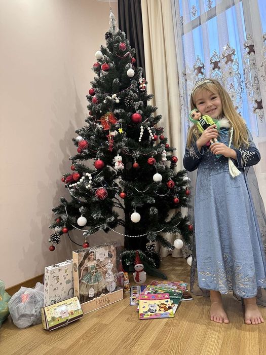 Дитяча новорічна карнавальна сукня Ельза снігова королева сніжинка