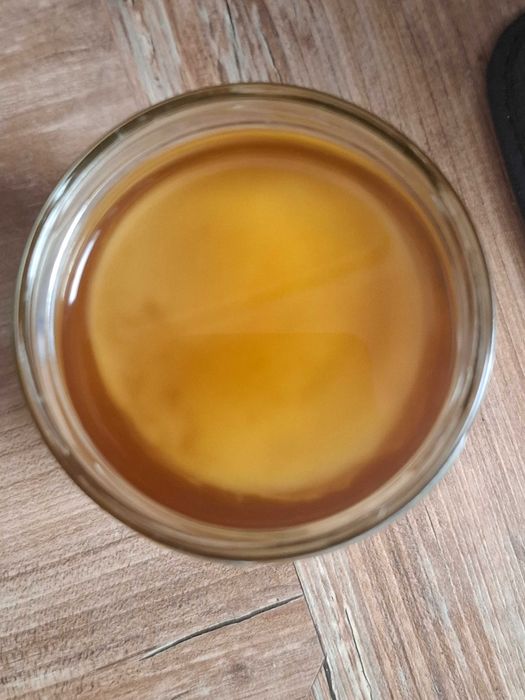 Grzybek herbaciany kombucha kombucza SCOBY ze starterem
