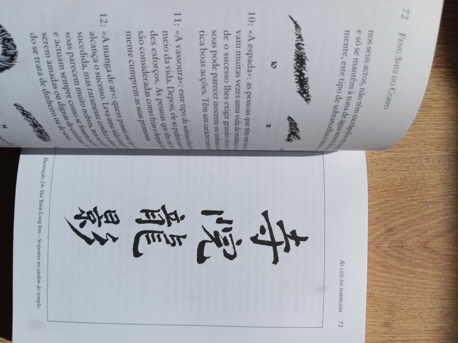 Feng Shui do Corpo, Chao-Hsiu Chen