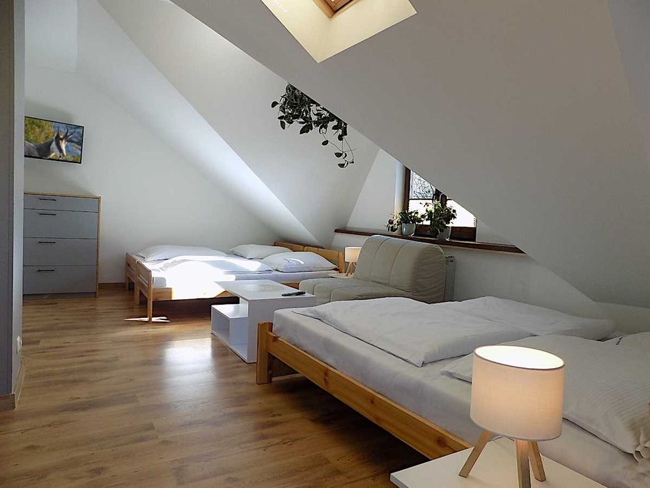 Zakopane studio z aneksem i łazienką w pobliżu Krupówek - centrum