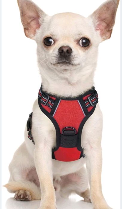 Rabbitagoo szelki bezuciskowe XS nowe