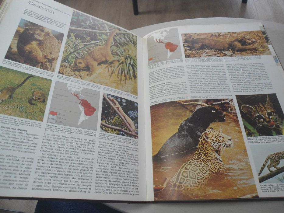 Animais da Terra das SRD