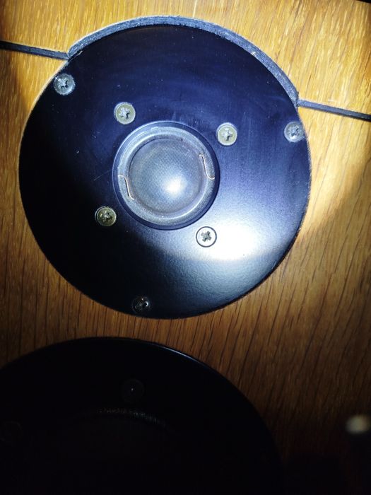 Dynaudio Xennon 3.Contour. Oryginal Dynaudio.