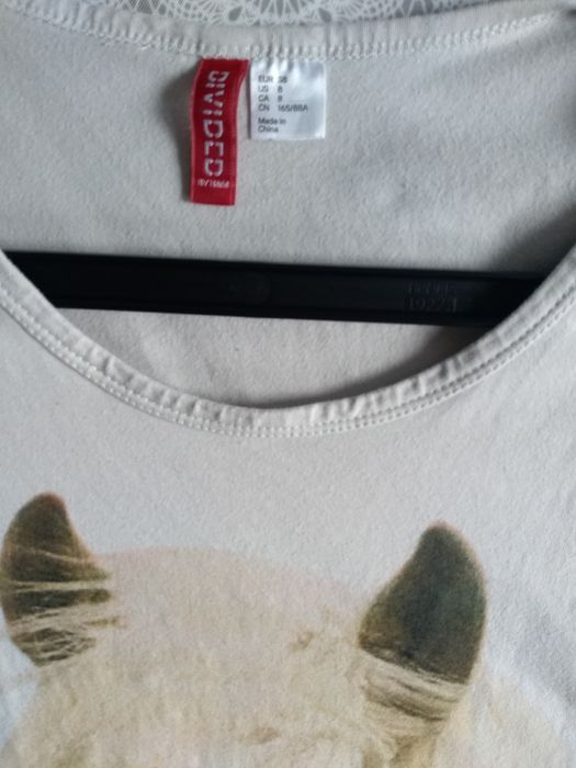 t-shirt z koniem