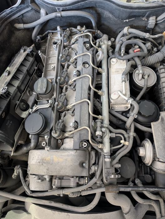Motor Mercedes 270 CDI OM647