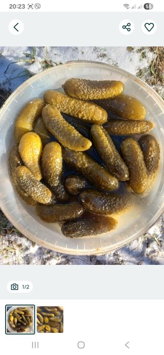 Огірки    солоні