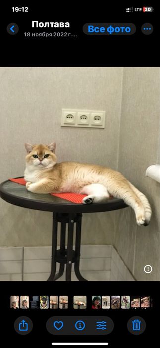 Класнючий мачо ! Вязка