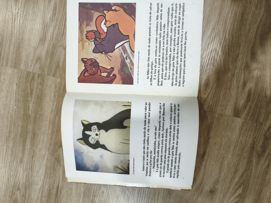 Livro de BD Banna e Flapi