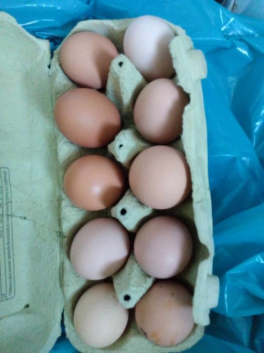 Sprzedam wiejskie jajka