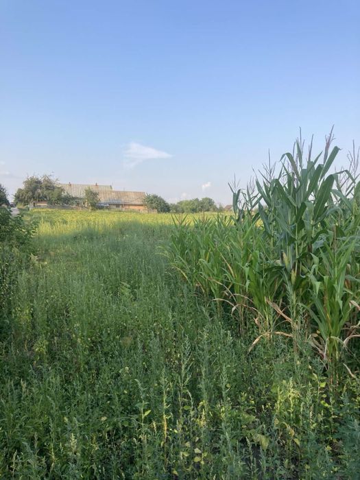 Продам землю під забудову в мальовничому селі Саливонки