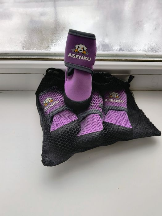 Обувь для собачки