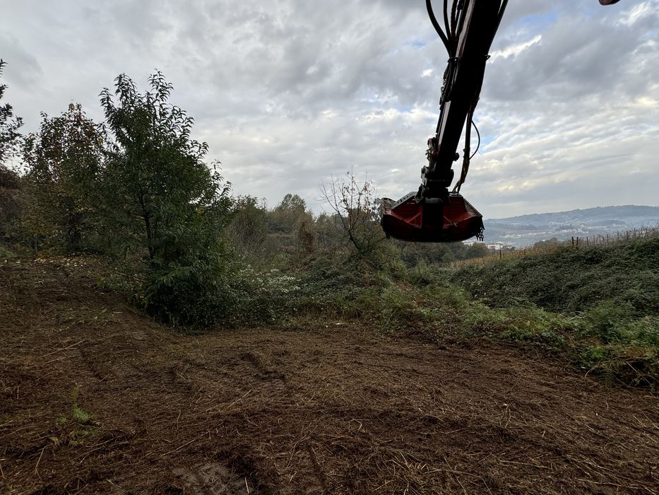 Serviço de Limpeza de Terrenos Florestais e Bermas de Estradas