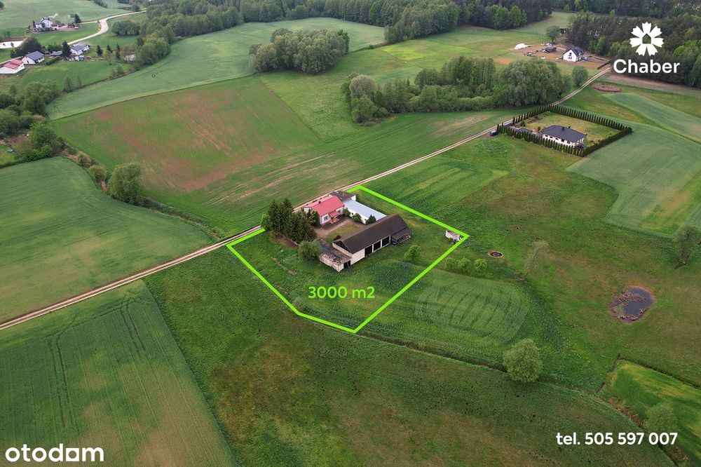 Siedlisko w sąsiedztwie lasów 17 km od Włocławka, dom 100m2