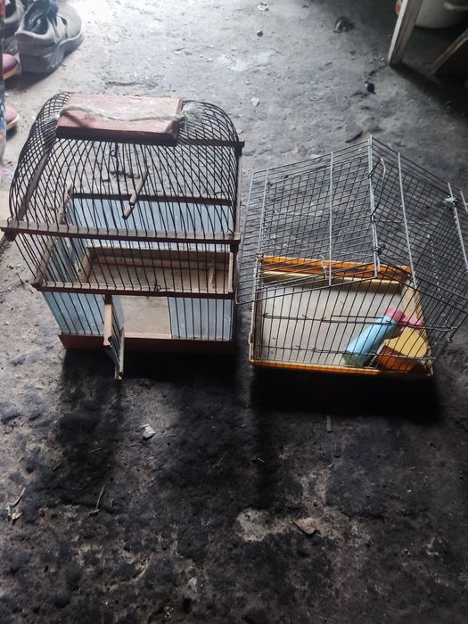 Клітка для папуг чи хом'яка