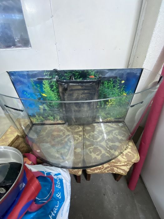 Aquário em bom estado