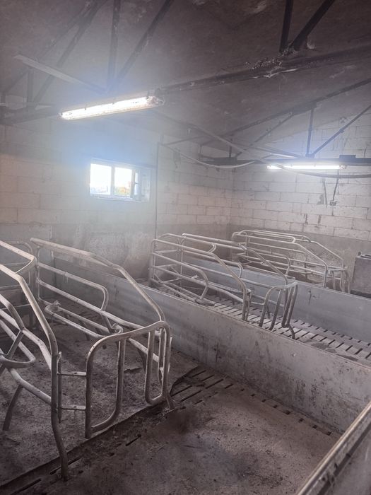 Продаж свиноферми 200м кв.