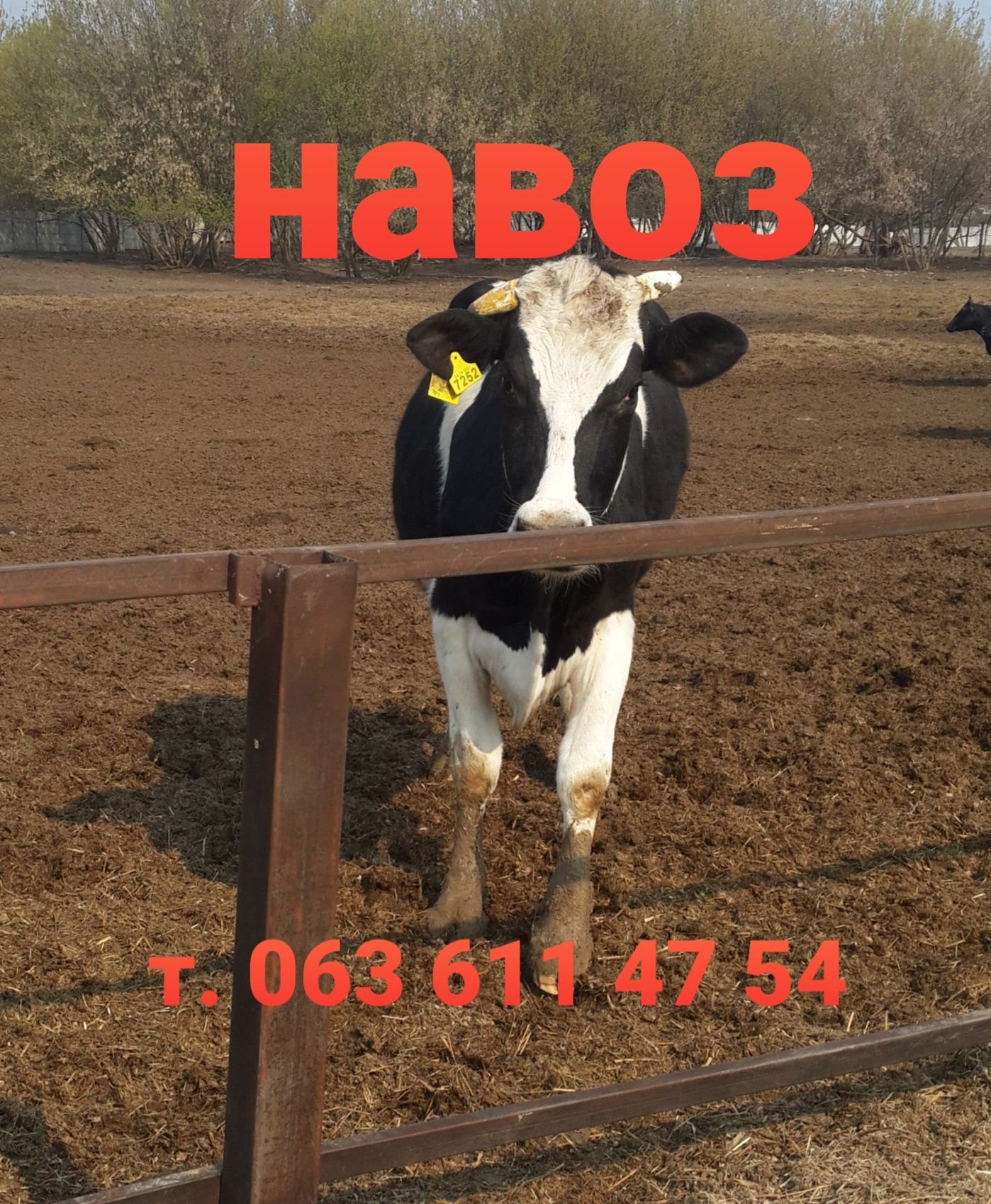 Навоз. Перегной. Торфокрошка. Земля. Чернигов.: 3 000 грн. - Сад ...