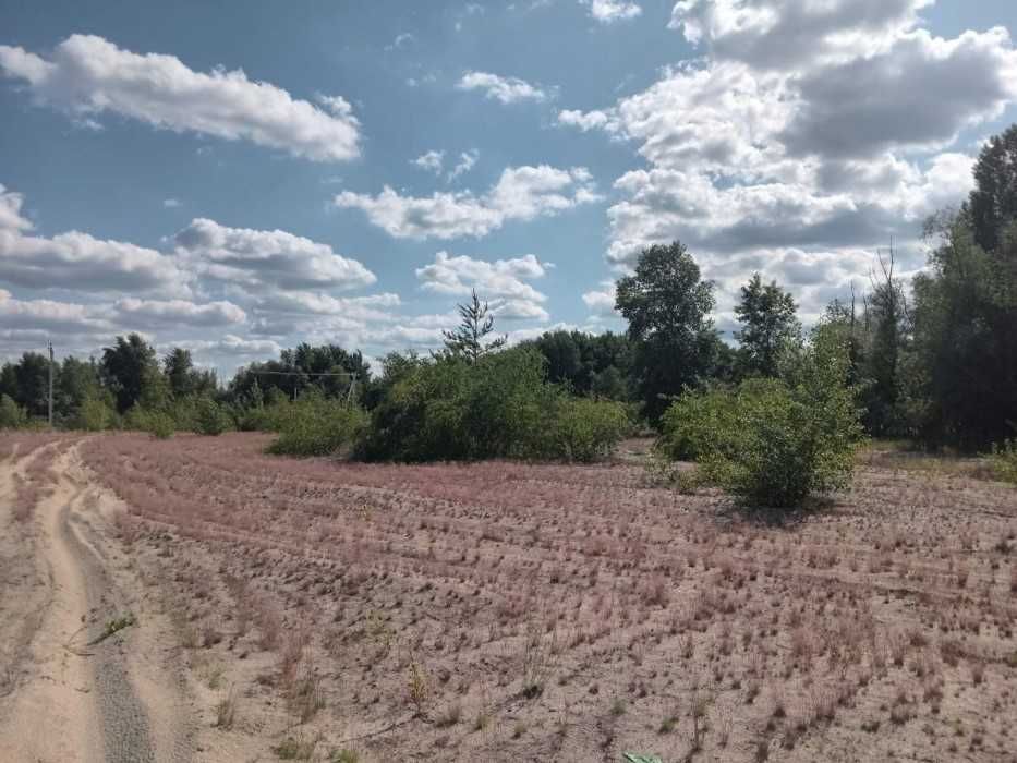 Без %! Друга ділянка від Дніпра! 12 соток Славутич Осокорки!