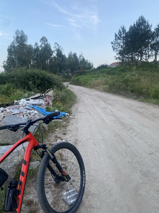 Scott aspect 2022