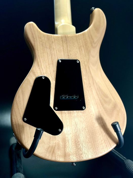 PRS SE Custom 24-08 | Eriza Verde, 8 brzmień, coil-split